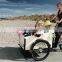 Chinese Aluminum Tricycle Three Wheel Wagon Trailer Used Cargo Bikes