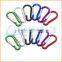 Fashion High Quality Oem Carabiner