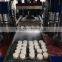 Service Abroad Calcium Hypochlorite Tablet Machine With Best Price