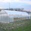 Economical plastic green house for Agricture