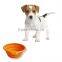 silicone collapsible travel bowls for your dog&silicone pet bowl&silicone container