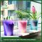 Innovative new products trendy gift plastic flower pots buying online in china
