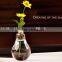 mini unique bulb light shape glass vase