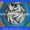 Frozen Pacific Mackerel