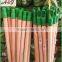 high quality wooden mop handle mop stick cheap price