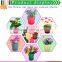 Wholesale cheap plastic large size flower hot pot&trays
