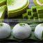 High Quality Matcha Green Tea Powder in Manufactory price