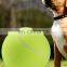 Custom Size Giant Inflatable Tennis Ball Dog Toy