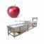 Vegetable wash machine by air bubble Industry used vegetable washing machine.