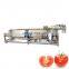 automatic high pressure spray fruit and vegetable bubble washer dried fruits washing machine