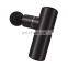 Harbour Custom Logo Deep Tissue Handheld Personal Smart Mini Massage Gun