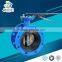 Size Double Flange Rubber Lined Butterfly Valve