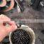 Good Quality Charcoal Ball Press Machine Carbon Powder Briquette Making Machine With Good Price