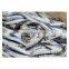 Best selling whole round frozen sardine fish frozen pilchard