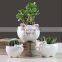 Cheap Silicone Biodegradable Railing Head Pots Animal Artificial Flowers Decoration Ceramic Flower Pot