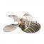 KITA brass marine propeller for boat outboard
