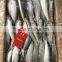 2015 Frozen Sardine wr for Fishing Bait 90-120pcs/ctn