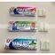 Yineng 10-Piece Pack Sugar Free Chewing Gum