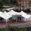 PVC coated tarpaulin /tent fabric/truck cover fabric-high tensile strength