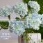 Hotel decoration artificial hydrangea artificial flower wedding flower                        
                                                Quality Choice
                                                                    Supplier's Choice
