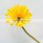 Reasonable price hot-sale cheap gerbera flower