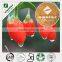 Factory supply Natural GMP goji wolfberry extract