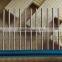 Pet Supplies Dog Hair Dryer Comb
