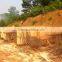 Acacia core veneer