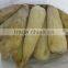 Frozen IQF whole sweet corn and cob