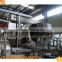 Professional Stainless Steel Honey Coated Peanut Production Plant
