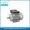 YE2-315L1-2 (2 pole three phase high efficient asynchronous Industry motor AC motor)