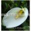 valentine's day decoration fresh cut Alocasia flower