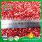 Grade A Palatable Freeze Dried Strawberries With Sugar