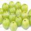 fresh gooseberry exporter/amla export in india/indian goose berry