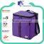 Promotional fashion insulated small collapsible cooler bag