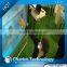 Advertising rear projection adhesive touch foil kiosk