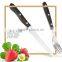 forged color wood handle steak knife and fork
