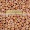 raw peanut kernel for sale