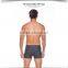 CNYE 2015 Fashion European Men 's Swim shorts swimwear/ mens swimwear shorts CN-5517