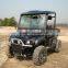 TNS 650cc utv with EEC