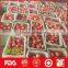Chinese Shandong Fresh Fuji Apples for Export