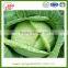 Chinese hot sale fresh cabbage with high quality