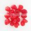 Excellent quality antique freeze dried sweet cherries