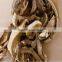 grade A B C D delicacy dried boletus edulis, suillus granulatus