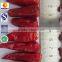 Carefully chosen exported red bullet chilli