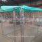 chain link fence dog run