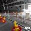 poultry cage chicken feeding system