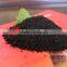 Bacterial Organic Soil Enhancer