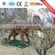 Artificial Dinosaur Model with Sound Used for Children Playground