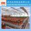 High Quality Greenhouse Rolling Benches